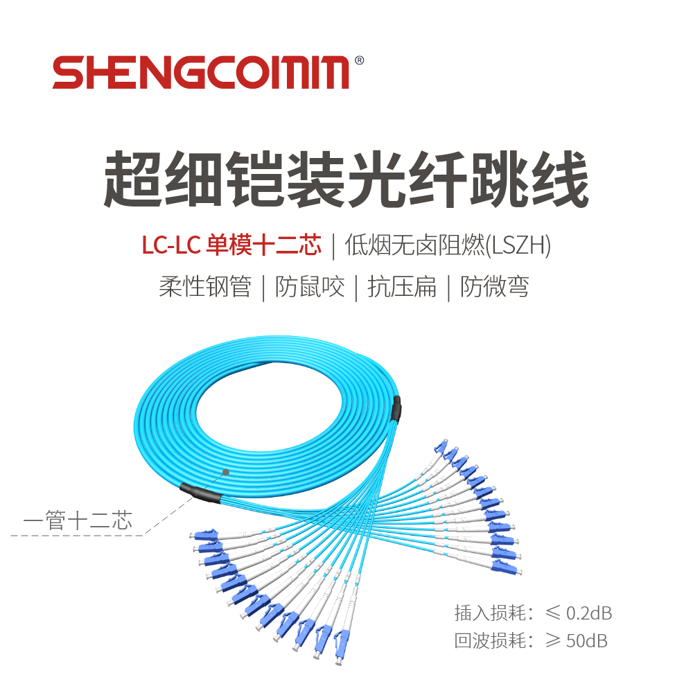 LC/UPC-LC/UPC 单模12芯 超细铠装光纤跳线
